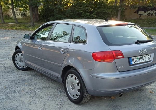 Audi A3 cena 19800 przebieg: 205000, rok produkcji 2005 z Stopnica małe 436